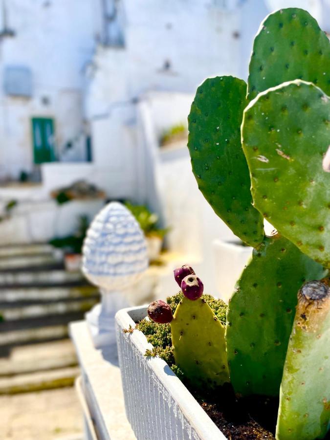 Belle Home Ostuni Vasca Vista Mare Екстериор снимка